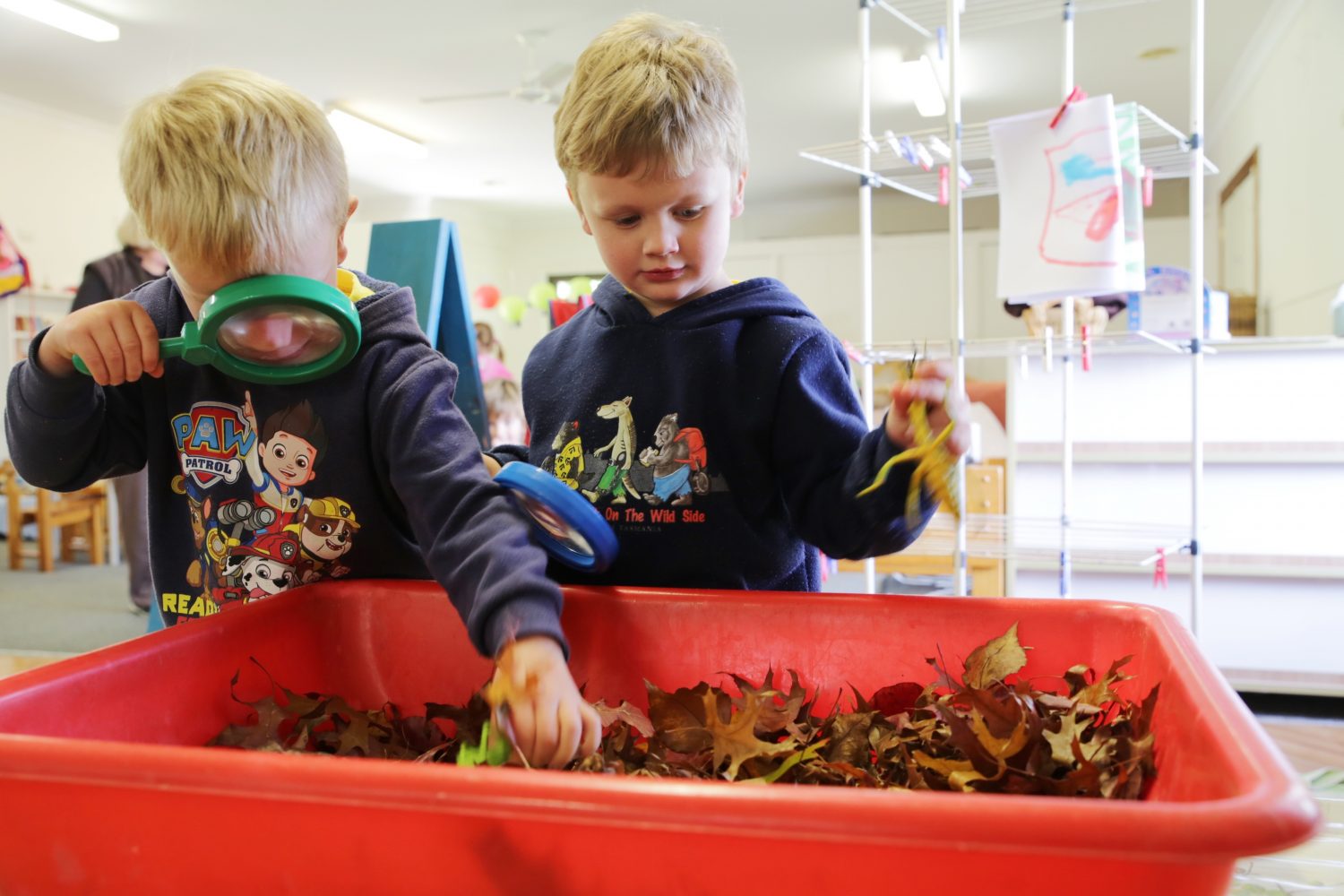 Child Care and preschool Moss Vale