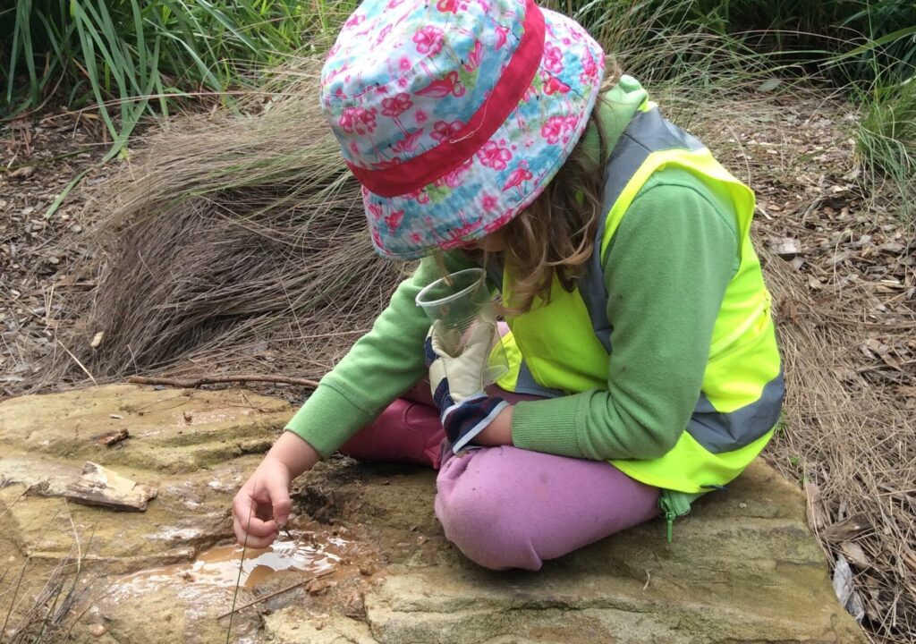 KU-Bulli-Bushwalk-2019