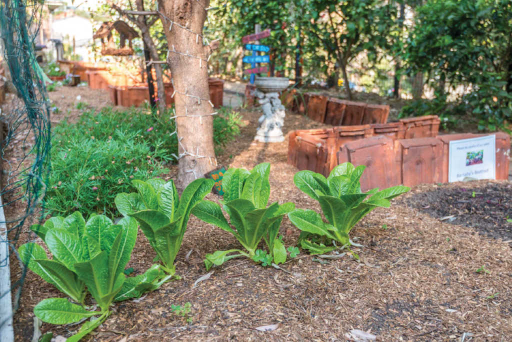 KU Bay Road North Sydney Garden Competition 2017