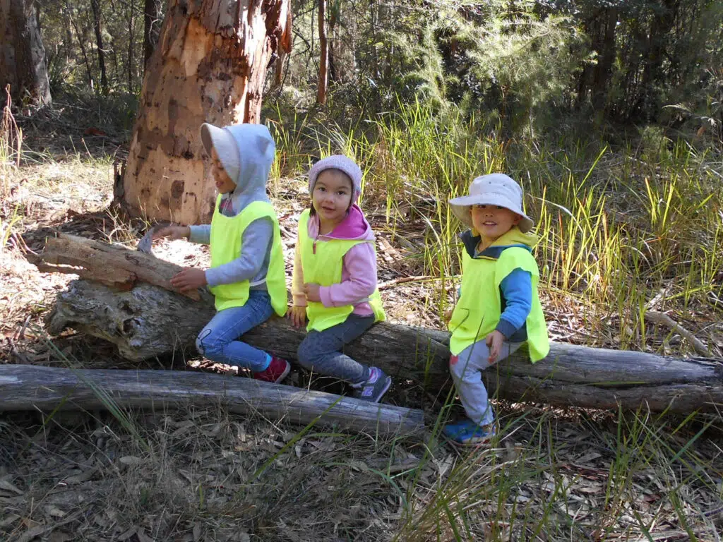 Learning in Nature 33 KU Grevillea Bush Learning Journey 2