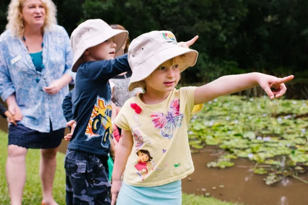 KU Ourimbah Birdlife