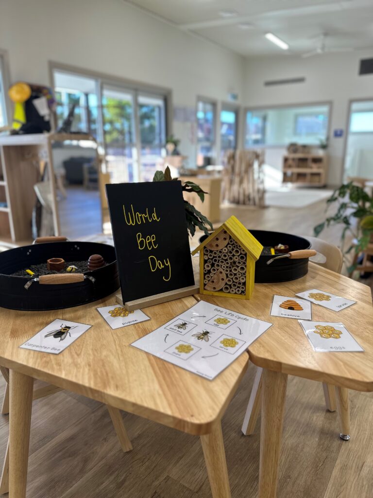 KU Koo Wee Rup Kindergarten Opens in Victoria January 2024 25 Bee table