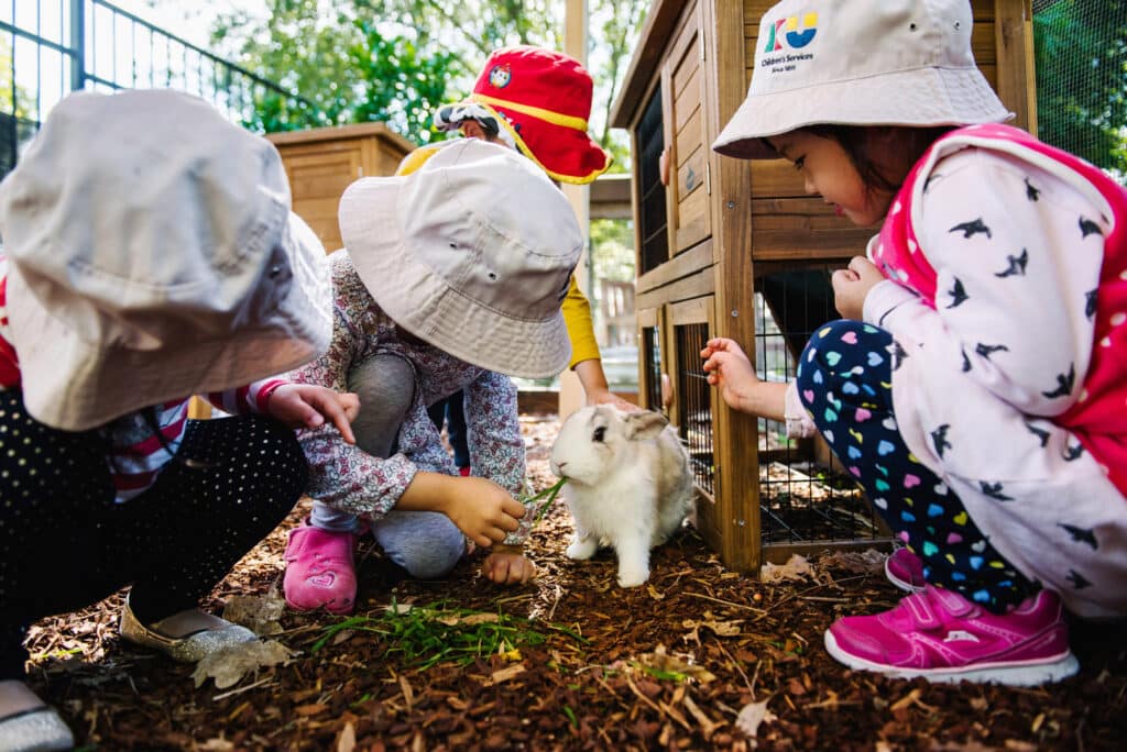 Children feeding a rabbit at KU Burwood childcare