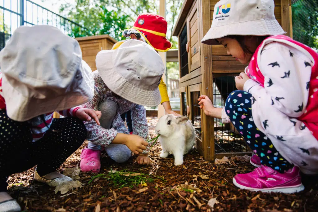 Children feeding a rabbit at KU Burwood childcare