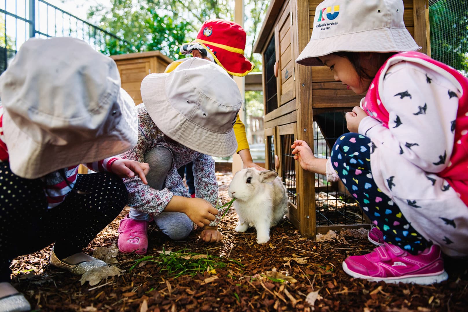 Children feeding a rabbit at KU Burwood childcare