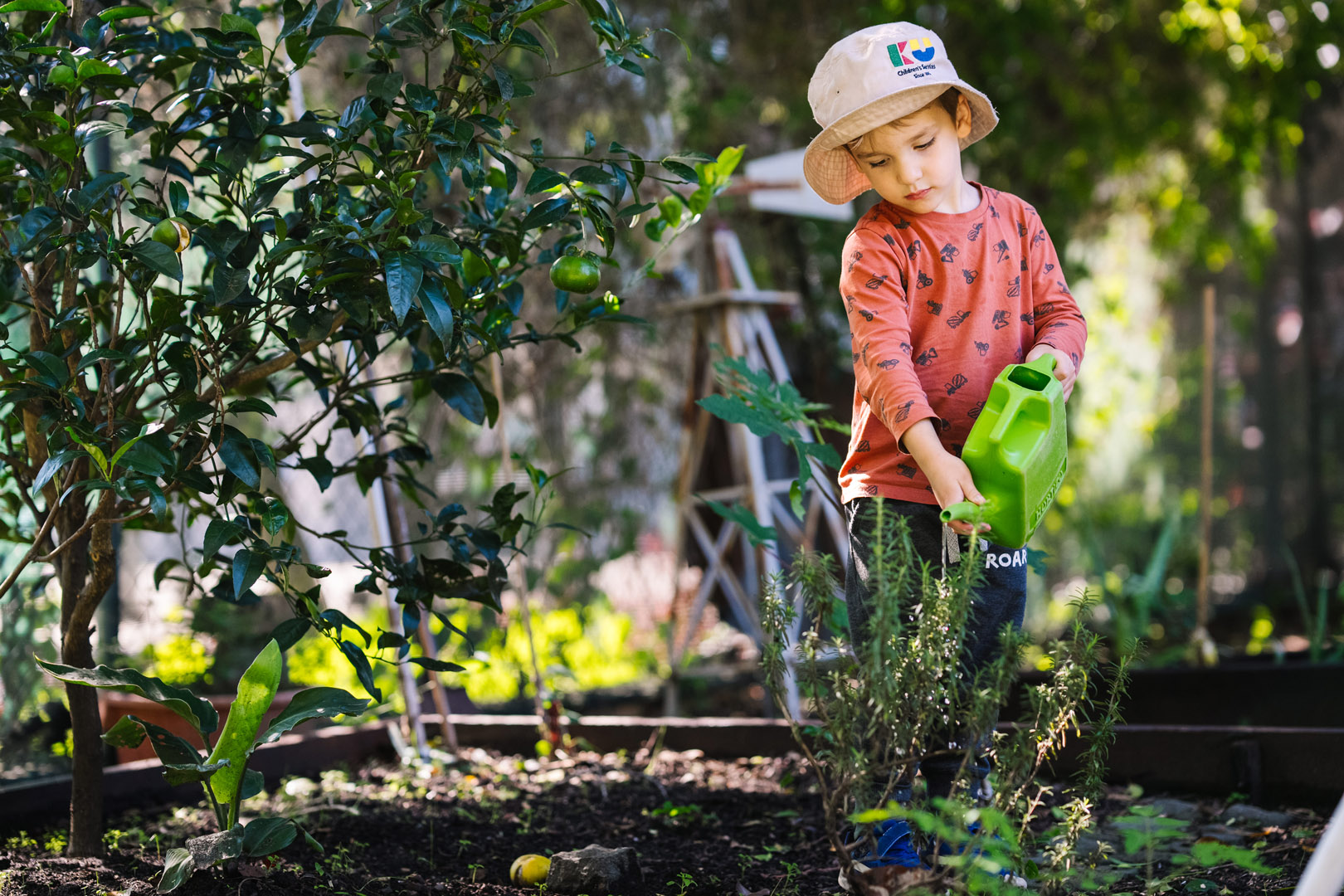 Child watering the plants at KU Croydon childcare