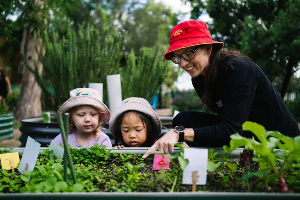 KU Hebersham childcare educator showing children a vegetable garden