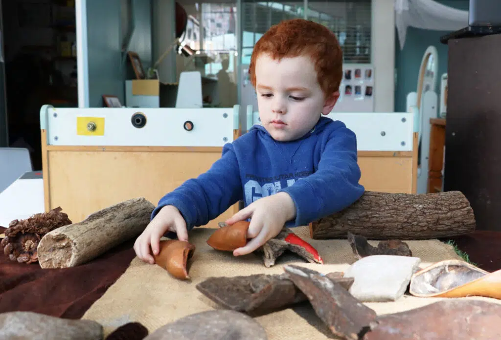 Child studying pinecones and seedpods at KU Kintaiba childcare