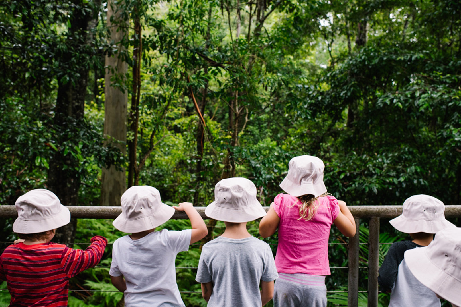 Children observing the outdoors at KU Ourimbah childcare