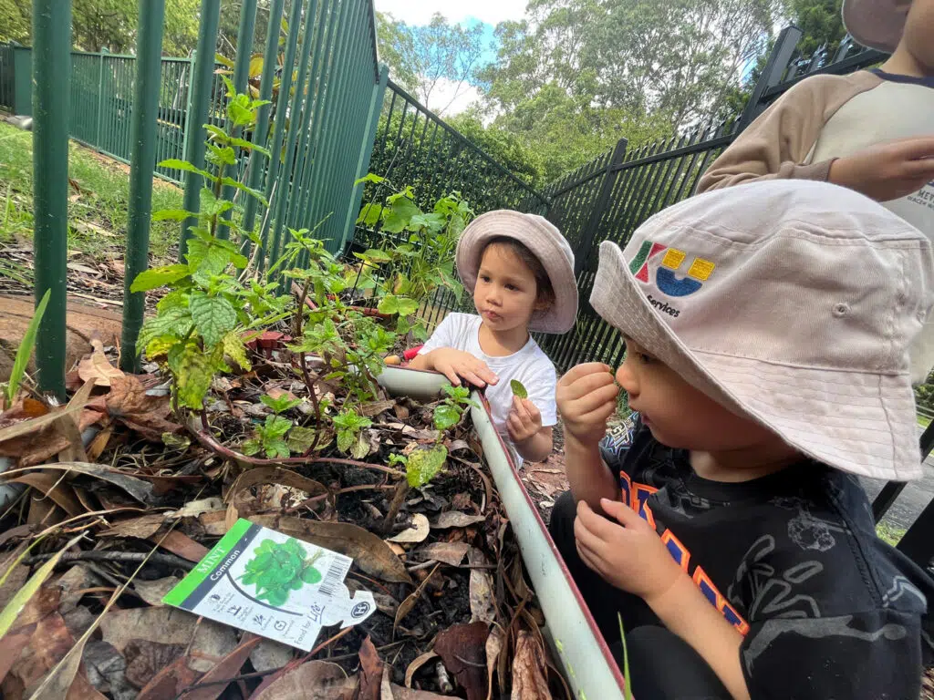 Rydalmere Childcare Preschool (3)