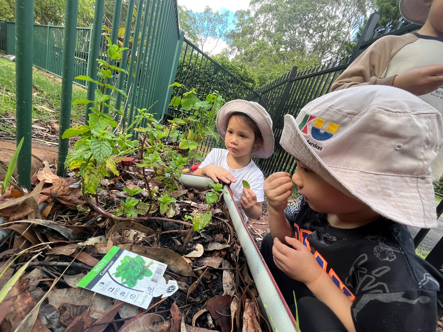 Rydalmere Childcare Preschool (3)