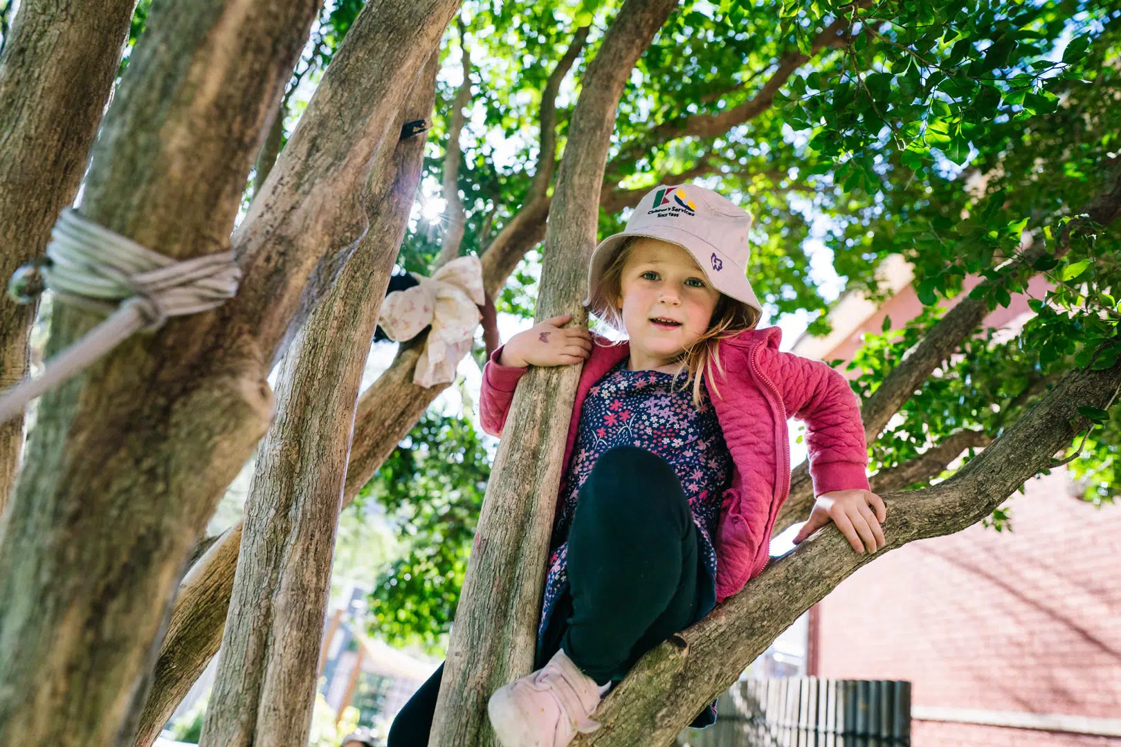 Child climbing a tree at KU St Ives Barra Brui childcare