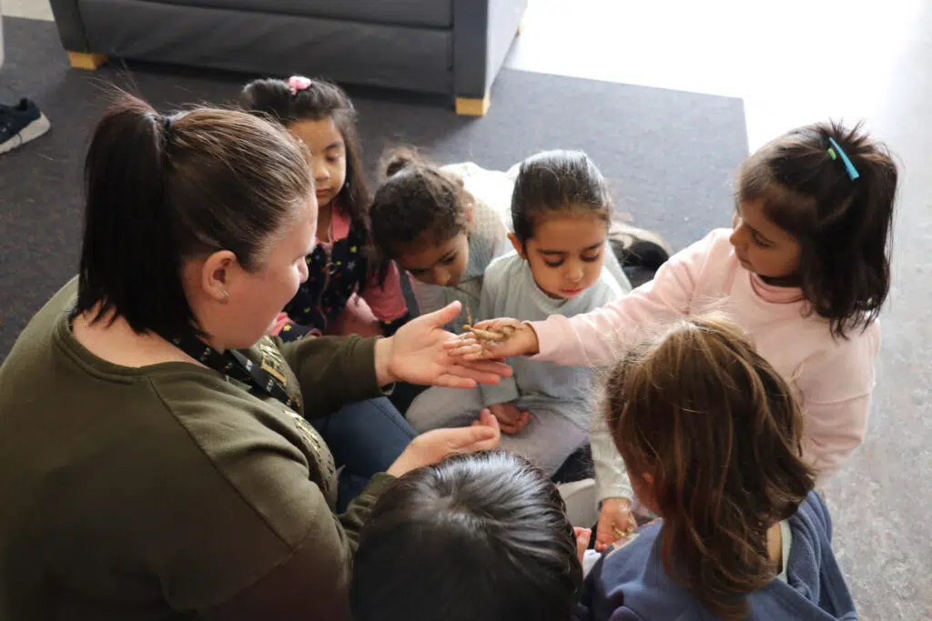 KU Dianella childcare educator supervising children looking at an insect