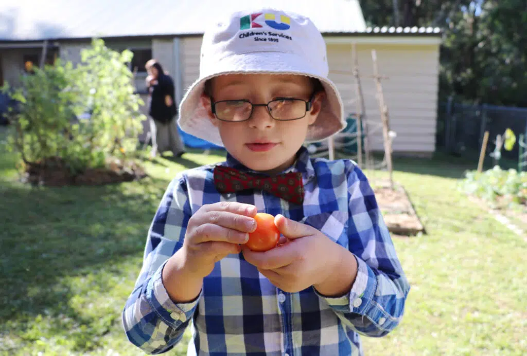 Child holding a tomato at KU Fox Valley childcare