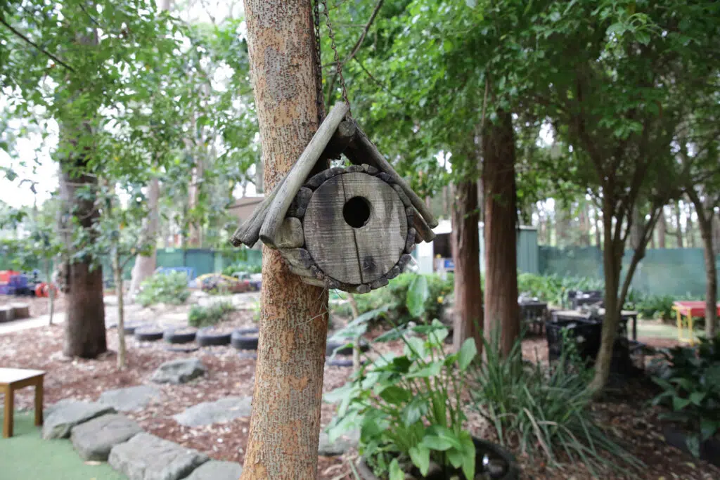 Bird house and outdoor environment at KU West Pymble childcare