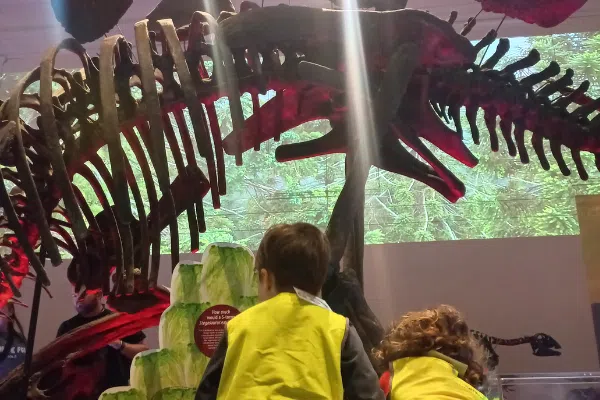 Community connections 24 https://www.ku.com.au/wp-content/uploads/2024/10/KU-Phillip-Park-_-Dinosaur-Exhibition_1_nologos.png