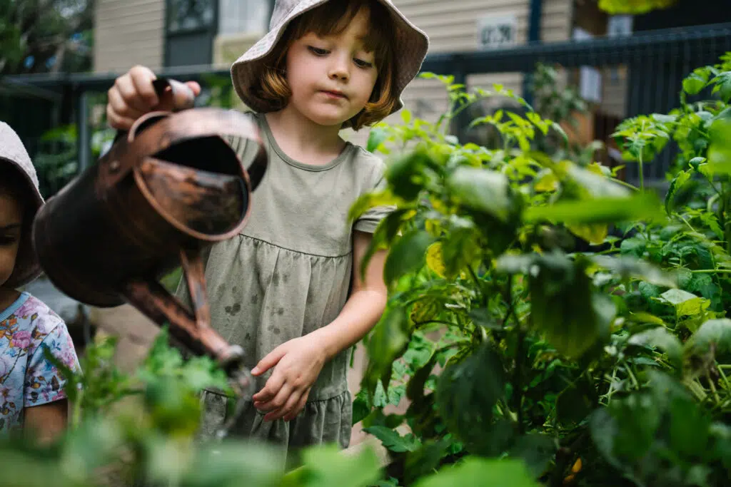 Child watering plants at KU Carillon childcare