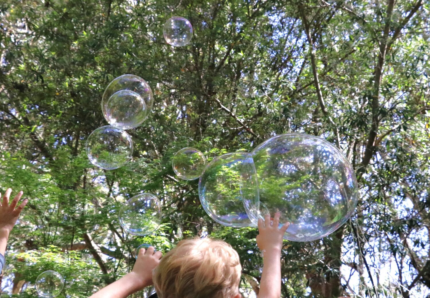 Bubble show