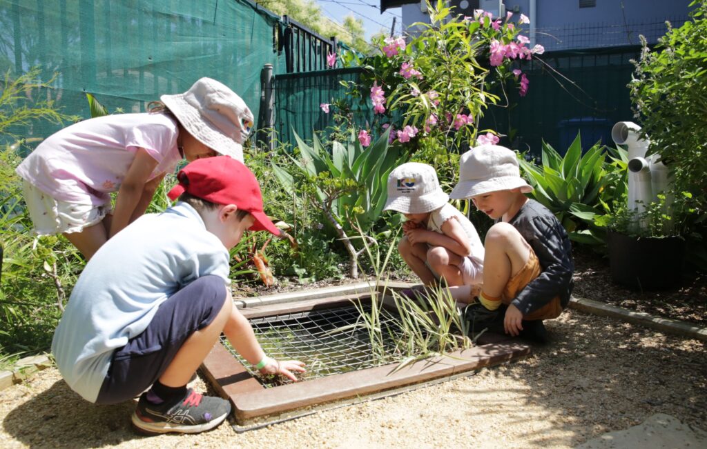 KU Crusader frog pond